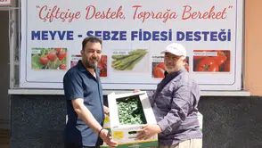 Konya'da belediye tam 72 bin fide dağıtıyor: Kutu kutu alıyorlar