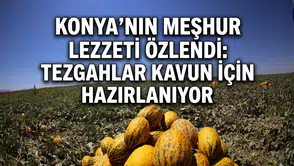 Konya’nın meşhur lezzeti özlendi: Tezgahlar kavun için hazırlanıyor