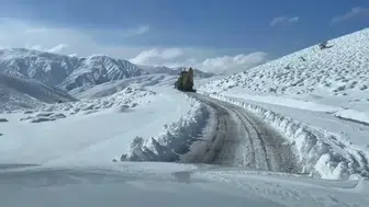 Bu şehirler beyaz bereketi karşıladı: Lapa lapa kar yağıyor