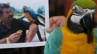 Turgut Özal'ın papağanı Cabbar yine çalındı