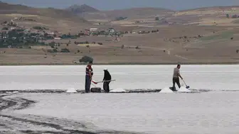 Tuz Gölü'nde Geleneksel Tuz Hasadı Sezonu Açıldı