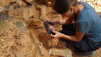 Denizli'deki kazılarda Jurassic parkı çıktı