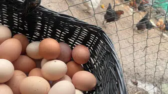 Fırsatçılar okulların açılmasını bekliyor: Vatandaş tedbir alınmasını istedi