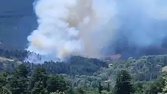 Konya'nın yanı başındaki orman yangını kontrol altında