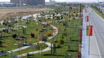 Konya'nın en iyi piknik alanları belli oldu: Mangalcılar saatlerce vakit geçiriyor