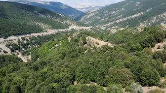 Doğayla iç içe serin bir yayla: Aydıncık Şebek Pınarı