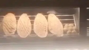 Fırında mide bulandıran görüntü
