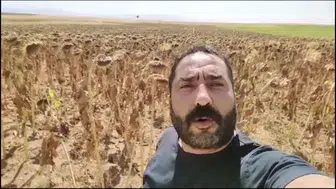 Konyalı çiftçiler: Yeni bir 'Nefes Kredisi" talebimiz var