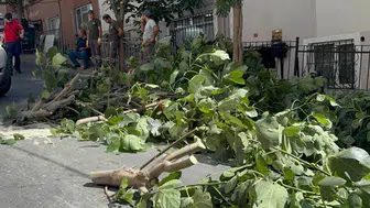 İstanbul'u fırtına vurdu: Akşam etkisini artıracak, dışarı çıkmayın uyarısı