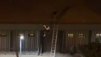 Özel güvenlikçi konseri çatıda kaçak izleyen genci aşağı attı