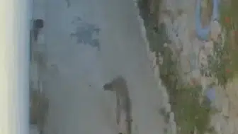 Evin önündeki ayakkabıları kimin çaldığı ortaya çıktı