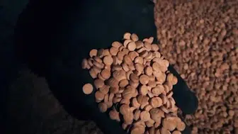 Uyuşturucu operasyonu: 3 milyon 542 bin hap ele geçirildi