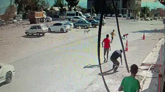 Sahipsiz köpek saldırısı: Çocuklar ölümden döndü