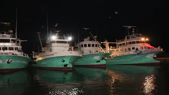 Sezon açıldı: Balıkçılar ‘Vira Bismillah’ dedi