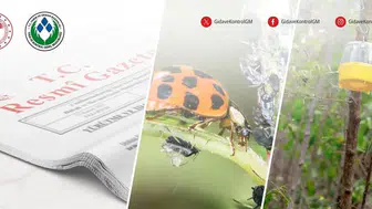1 Temmuz’da 81 ilde başlıyor: B-Reçete devrede