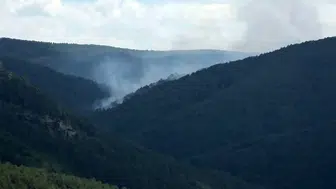 Orman yangınına müdahale sürüyor: 7 helikopter, 4 uçak ve 22 arazöz görevde