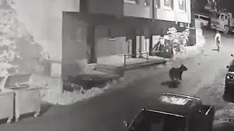 Ayıdan canını zor kurtardı: O kaçtı ayı böyle kovaladı