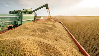 Hasat sezonu kapanıyor: Türkiye'nin beklentisi 140 milyon ton