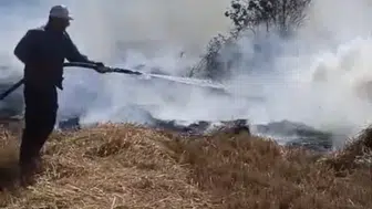 Konya itfaiyesi alarma geçti: Sazlıkta başlayan yangın ormana sıçradı