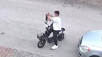 Yavru kediyi önce öptü sonra boğdu: İşte hayvanlara şiddetin altında yatan nedenler