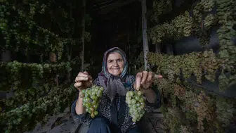 Konya'daki kuru üzüm üreticileri beklemede