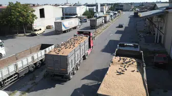 Konya'daki buğday pazarında güvercinler de nasibini alıyor