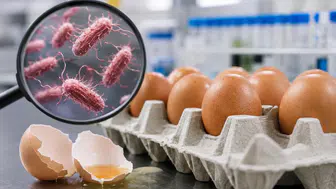 Salmonella paniği: Şüpheli yumurtalar geri çağrıldı