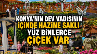 Konya'nın dev vadisinin içinde hazine saklı: Yüz binlerce çiçek var
