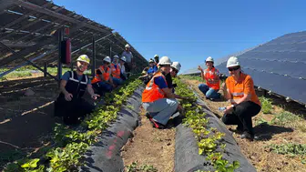 Türkiye'de tarımın geleceğini "agrivoltaik" tarımla Konya belirliyor