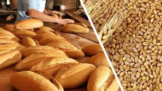 Sırada ekmek krizi mi var: Buğdayda fiyat 3 yılın zirvesinde