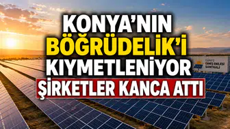 Konya’nın Böğrüdelik’i kıymetleniyor: Şirketler kanca attı