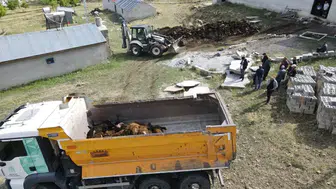 Ayı ayılığını yaptı arkada bu acı manzara kaldı