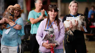 Dünyanın en çirkin köpeği tacı böyle kaptı