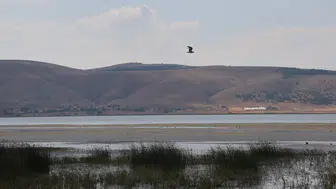 Konya'da geçen yıl tamamen kuruyan göl yeniden balık tutma hayalleri kurduruyor