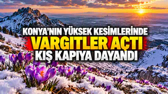 Konya'ya kış ayını müjdeleyen çiçekler açtı: Yükseklerde vargit zamanı