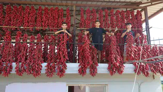 Mahalledeki balkonları kırmızıya bürüdü