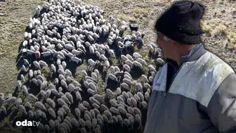 Aylık 150 bin lira maaş: Yine gelen giden yok