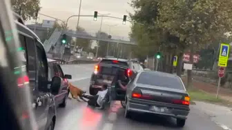 Zincirini koparan köpek böyle saldırdı