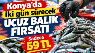 Konya’da iki gün sürecek ucuz balık fırsatı: Sadece 59 TL