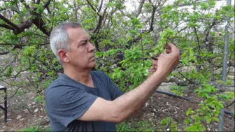 Dalından kavanoza: 4 liralık tatlı