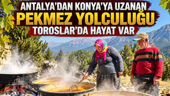 Antalya’dan Konya’ya uzanan pekmez yolculuğu: Toroslar’da hayat var