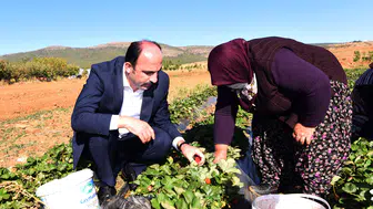 Başkan Altay, Dünya Kadın Çiftçiler Günü’nü kutladı