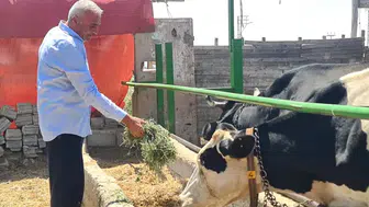 Konya'da süt üreticisinin hanesine litrede en az 5 lira zarar yazılıyor