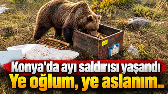 Konya'da ayı saldırısı yaşandı: Ye oğlum, ye aslanım..