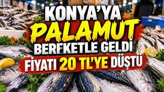 Konya’ya palamut bereketle geldi: Fiyatı 20 TL’ye düştü