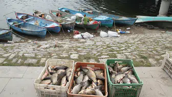 Konya'da tekneler karaya çekilecek: Av yasağı başlıyor