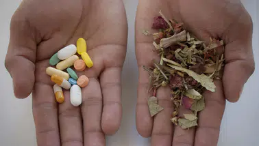 Alternatif tıpta yeni dönem: Bitkisel ilaç üretimi için yeşil ışık