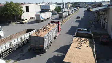 Konya'daki buğday pazarında güvercinler de nasibini alıyor
