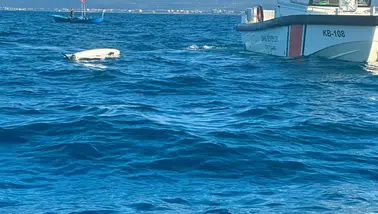 Balığa çıkmışlardı dron yakaladılar