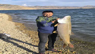 30 kiloluk dev turna balığını böyle çekti